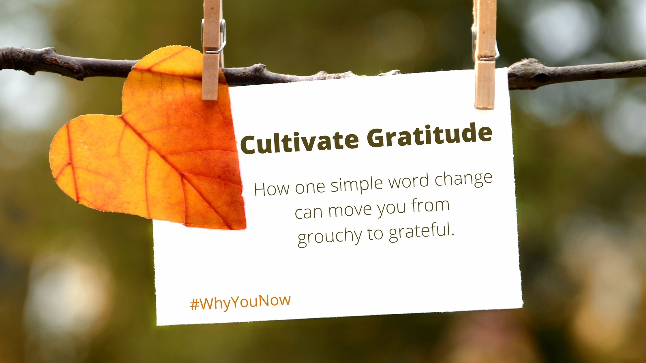 how-to-easily-cultivate-gratitude-and-get-things-done-whyyounow